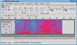 Abbildung 1: Soundmural verwandelt Bilder in Klangdateien. Dazu interpretiert es sie als Spektrogramme, wie sie Audio-Schnittprogramme erzeugen, etwa Audacity.