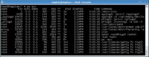 Abbildung 1: Die OpenBSD-Firewall benutzt zufällige Prozess-IDs. Daher sind bereits auf einem frisch gestarteten System IDs mit stark unterschiedlichen Werten anzutreffen.