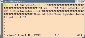 Abbildung 1: Das Makro ordnet der Tastenkombination [!]+[P] im Kommandomodus die Startzeilen eines Perl-Skripts zu und setzt den Editor in den Einfügemodus.