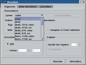 Abbildung 1: Print-Dialog des JPS (Reiter 1).