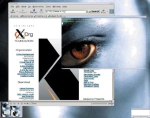 Abbildung 1: Pseudotransparenz wie hier beim Programm Aterm kopiert lediglich den Desktop-Hintergrund. Mit X.org 6.8 ist echte Transparenz möglich, wie in Abbildung 3 zu sehen.