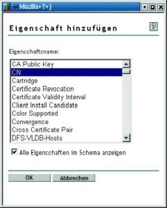 Abbildung 1: Bei den Berechtigungen für den anonymen Proxy-Benutzer muss der Admin eine Reihe von Attributen wie »CN« explizit auswählen.
