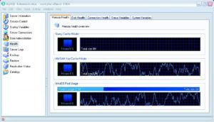 Abbildung 1: Die dynamischen Zustandsanzeigen für viele kritische Werte sind ein Highlight des MA. Hier eine Übersicht über den Arbeitsspeicherbedarf unter Windows.
