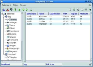 Abbildung 1: Das Hauptfenster von PG-Access stellt links eine Treeview dar, rechts die jeweiligen Objekte (hier die Tabellen in der Datenbank »stg«).