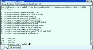Abbildung 1: Die einfache Textsuche ist mit dem Lucene Application Layer (Luala) sehr schnell, wenn sie einen vorher erzeugten Index benutzt.