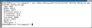 Abbildung 1: Deskriptive Informationen zur Grafikdatei, ausgegeben mit JMagick (Listing 1).