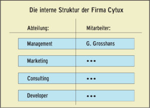 Abbildung 1: Die Firmenstruktur der Beispielfirma Cytux, wie sie LDAP abbilden soll.