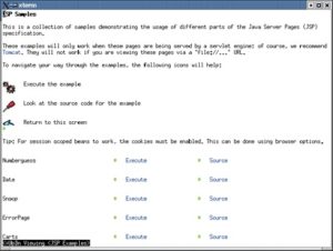 Abbildung 1: Einstiegsseite: JSP-Beispiele über Apache (Browser: W3m).