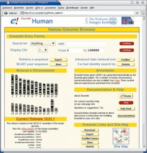 Abbildung 1: Die Ensembl-Einstiegsseite für das menschliche Genom. In der Mitte links der halbe Chromosomensatz des Menschen, der Karyotyp. Mit einem Mausklick auf ein Chromosom beginnt der Nutzer durch das Genom zu browsen.