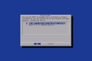 Abbildung 1: Das Paket »livecd-tools« enthält praktische Applikationen wie das im Bild gezeigte »net-setup«.