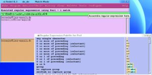 Abbildung 2: Redet hilft beim Zusammensetzen komplizierter Regular Expressions.