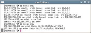 Abbildung 2: Das »ip«-Programm zeigt die Routen (»ip route show«) und den Inhalt des ARP-Cache an, Zweiteres per »ip neigh show«. Hier dient »neigh« als bequeme Abkürzung für »neighbour« (Nachbar).