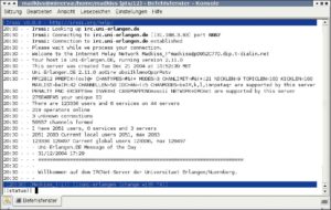 Abbildung 2: IRC 2.11 weist jedem Benutzer beim Login eine Unique ID zur eindeutigen Identifikation zu.