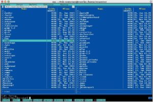 Abbildung 2: Auf der Konsole sorgt der Midnight Commander für komfortable Anbindung. Wie die KDE-Umgebung auch benutzt der Commander das Fish-Protokoll für SSH-Verbindungen.