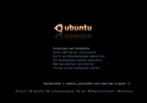 Abbildung 2: Bereits bei der Installation legt der Administrator den späteren Einsatzzweck des Servers fest, entweder Standardserver oder LAMP.