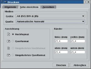 Abbildung 2: Print-Dialog des JPS (Reiter 2).
