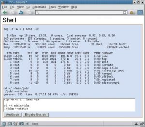 Abbildung 2: Die Webshell hilft bei der Suche nach Sicherheitslücken. Sie gibt alle Kommandos, die jemand in das Textfeld unten eintippt, an eine Bash weiter und präsentiert oben die Ergebnisse.