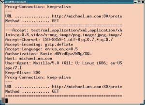 Abbildung 2: Ein Base-64-kodierter Passwortstring aus der Basic-Authentifikation (im Bild rot umrahmt) zwischen Webclient und Server lässt sich relativ einfach mit einem Proxy ausschnüffeln.