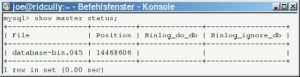 Abbildung 2: Der Show-Befehl findet die Position des Binary-Log.