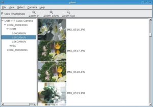 Abbildung 2: Gtkam, ein Frontend für die GPhoto-2-Suite. Das Programm bietet bequemen Zugriff auf die Bilder einer Digitalkamera, die Oberfläche ist jedoch etwas spartanisch ausgefallen.