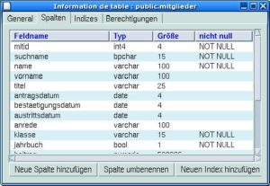 Abbildung 2: Die Entwurfsansicht für Tabellen gibt einen Überblick über ihre Eigenschaften, hier zeigt das Fenster die Spalten der Tabelle »public.mitglieder«.