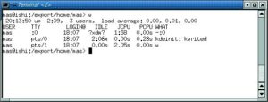 Abbildung 2: Unter Linux informiert »w« noch etwas ausführlicher als »who«. Es zeigt in der ersten Zeile zusätzlich die Uptime des Rechners sowie dessen Last.