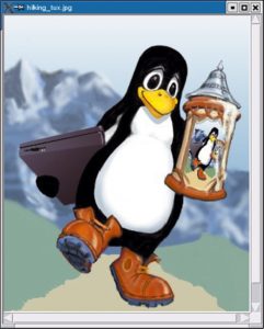 Abbildung 2 und 3: Pinguin auf dem Weg zum Oktoberfest, angezeigt mit JMagick. Pinguin auf dem Weg vom Oktoberfest (rechts), der verschwommene Eindruck kommt nicht vom Bier, sondern vom Filter in Listing 3. 