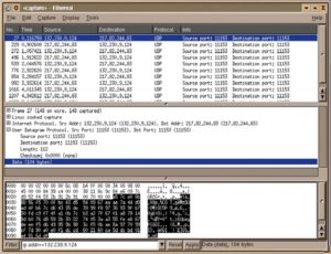 Abbildung 2: Der Rechner mit der IP-Adresse 132.230.9.124 kommuniziert mit 217.82.244.83. Dass es sich dabei um Pings und die Antworten darauf handelt, kann Ethereal dank Cipe-VPN nicht entdecken.