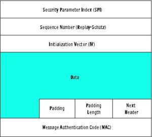 Abbildung 2: Das ESP-Protokoll (Encapsulating Security Payload) verschlüsselt das Paket und stellt damit die Vertraulichkeit sicher. Ein Paket-Sniffer kann den Inhalt nicht mehr entziffern.
