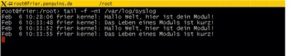 Abbildung 2: Das in 13 Zeilen C programmierte Modul (siehe Kasten unten) tut nichts anderes, als sich beim Laden brav in »/var/log/syslog« anzumelden und beim Entladen wieder zu verabschieden .
