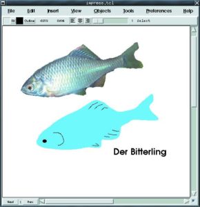 Abbildung 2: Das Zeichenprogramm Impress speichert Grafiken als Tcl-Code. Das Bitterling-Bitmapbild (oben) lässt sich damit als Vektorgrafik nachbilden.