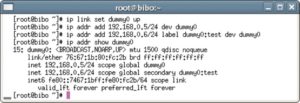 Abbildung 3: Der Befehl »ip link« aktiviert Netzwerkkarten, hier das virtuelle Interface »dummy0«. Die weiteren Kommandos verpassen ihm eine primäre und eine sekundäre IP-Adresse sowie ein Label.
