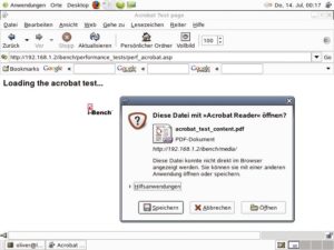 Abbildung 3: Galeon, der einzige auf Gnome aufbauende Browser in diesem Test, zeigt PDF nicht nahtlos an.