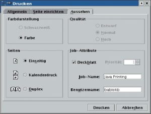 Abbildung 3: Print-Dialog des JPS (Reiter 3).