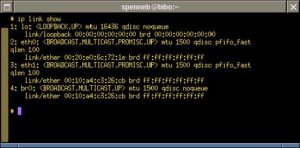 Abbildung 3: Die virtuelle Bridge ist in Betrieb. Die Ausgabe von »ip link show« zeigt nach »4: br0:« die Daten der Bridge.