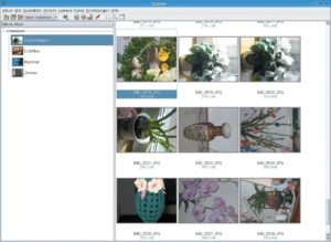 Abbildung 3: Das KDE-Programm Digikam hilft Fotos von Digitalkameras zu archivieren und zu verwalten. Im Hauptfenster zeigt es links alle Alben und rechts Thumbnails der Fotos an.
