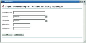 Abbildung 3: Der Admin kann die Werte für die laut RFC 2307 benötigten Attribute nach dem Hinzufügen der Zusatzklasse an dieser Stelle eingeben.
