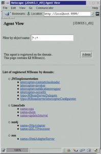 Abbildung 3: MBeans der Beispielanwendung im Browser.