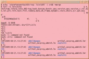 Abbildung 3: Mit der X-Ressource »xterm*answerbackString« wird das harmlose »tail«-Kommando zum Trojanischen Pferd: Im ausgegebenen Binärfile lauert der Steuercode »\005«. Gemeinsam mit dem Terminal veranlassen sie die Shell dazu, den Befehl »ls« ohne Wunsch des Anwenders auszuführen.