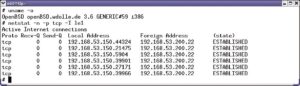 Abbildung 3b: OpenBSD vermiest Angreifern nach Kräften ihr Handwerk. Unter anderem gibt es jeder Verbindung einen zufälligen Quellport - der Saboteur muss immer raten und kann die Nummer nicht berechnen.