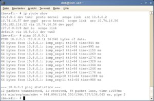 Abbildung 4: Zuerst bestätigt das Kommando »ip route show«, dass der Kernel die Pakete in den Tunnel senden will. Ein »ping« auf die TUN/TAP-IP-Adresse des OpenVPN-Servers gibt dann Gewissheit: Der Tunnel durch das WAP-2.0-Gateway steht.