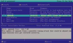 Abbildung 4: Gleich nach der Übernahme des Testservers waren zahlreiche Updates notwendig. Dank 1&1-interner Update-Mirrors ging das sehr schnell.