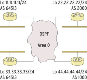 Abbildung 4: Unter Laborbedingungen simulieren vier Loopback-Interfaces mehrere autonome Systeme, um die BGP-Implementierung zu testen.