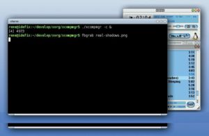 Abbildung 4: Der XCompmgr von Keith Packard ist eine Beispielimplementierung eines Composition-Managers. Er rendert Transparenz, Schatten und Ausblendungen von Fenstern.