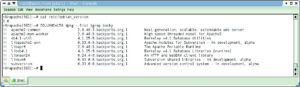 Abbildung 4: Dpkg liefert den Beweis: Dank des Backports-Projekts von Norbert Tretkowski laufen Apache 2 und Subversion auf einem Debian-Woody-System. Auch XFree86 4.2 und Mozilla 1.5 gibt es nun für Woody.
