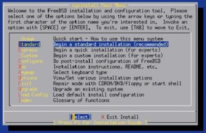 Abbildung 4: Ein interaktives Textmenü namens Sysinstall führt durch die FreeBSD-Installation.