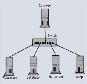 Abbildung 4: Ntop kann auch auf einem allein stehenden Rechner den Netzverkehr beobachten. Der Switch muss Port Mirroring unterstützen, damit Ntop den gesamten Netzverkehr sieht.