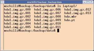Abbildung 5: Die gesicherten Daten eines Laptops mit einer Festplatte sammelt ein Verzeichnis auf dem Backupserver.