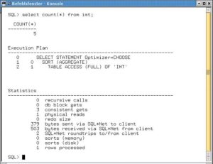 Abbildung 5: Statistik einer SQL-Anweisung.