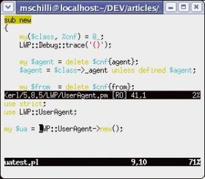 Abbildung 6: Vim mit gespaltenem Fenster: Unten ein Testskript, oben der Sourcecode des verwendeten Moduls »LWP::UserAgent«.